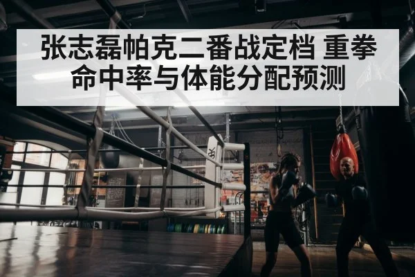 boxer endurance training